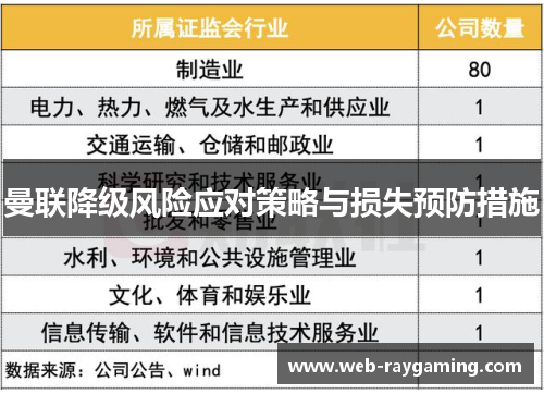 曼联降级风险应对策略与损失预防措施