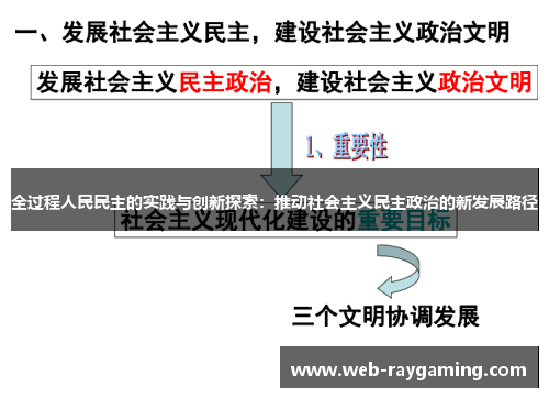 全过程人民民主的实践与创新探索：推动社会主义民主政治的新发展路径